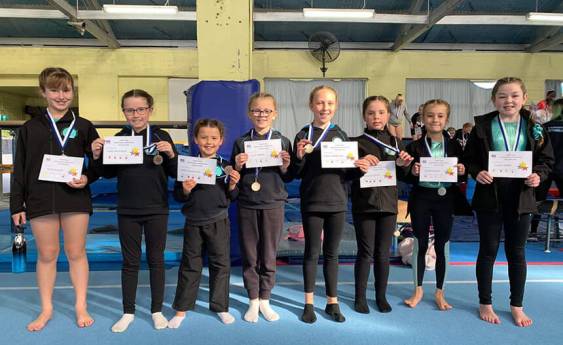 CH Gymnastics Club looking for new home